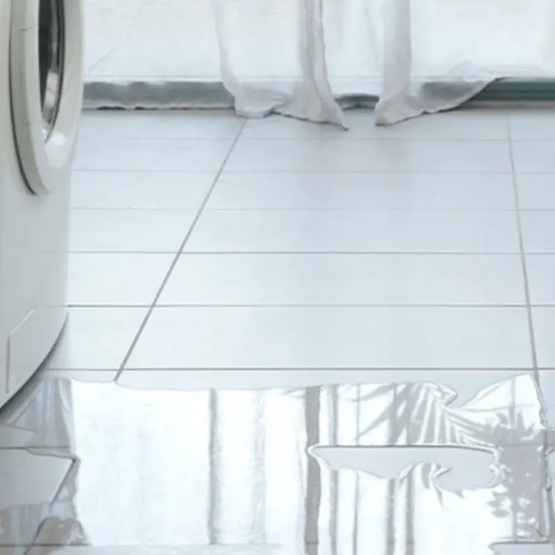 Appliance Leak Cleanup in Alderwood Manor, WA